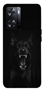 Чохол на OnePlus Nord N20 SE Доберман фото 1 з 1