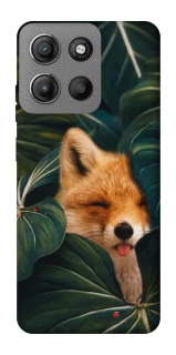 Чехол на Motorola Moto G15 Power Fox фото 1 из 1