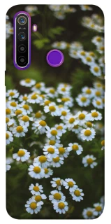 Чехол на Realme 5 Ромашки v13 фото 1 из 1