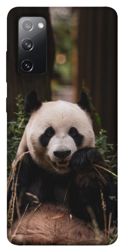 Чохол на Samsung Galaxy S20 FE Панда фото 1 з 1