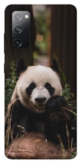 Чохол на Samsung Galaxy S20 FE Панда фото 1 з 1