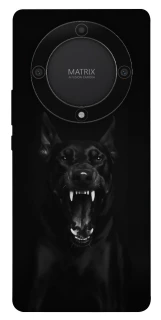 Чохол на Huawei Magic5 Lite Доберман фото 1 з 1