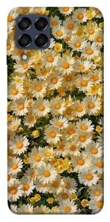 Чехол на Samsung Galaxy M33 5G Camomile фото 1 из 1