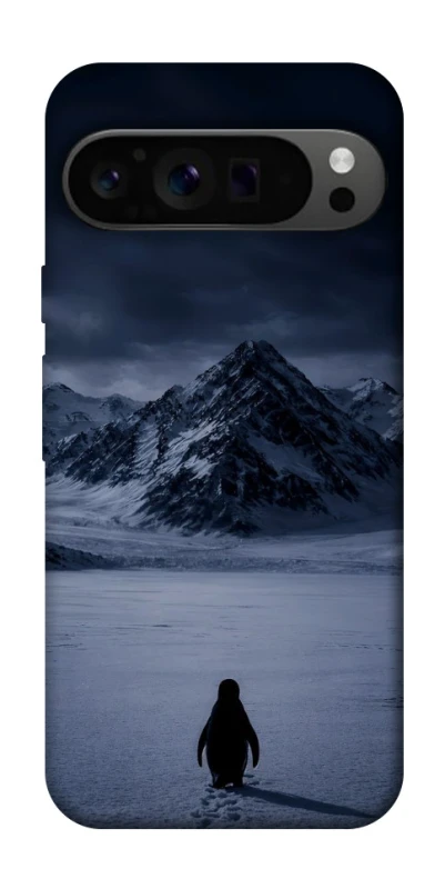 Чехол на Google Pixel 9 Pro But why? фото 1 из 1