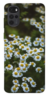 Чехол на Motorola Moto G22 Ромашки v13 фото 1 из 1