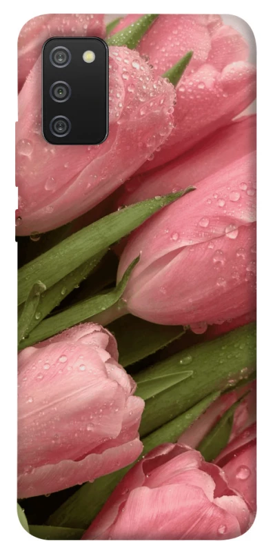 Чехол на Samsung Galaxy A02s Beauty фото 1 из 1