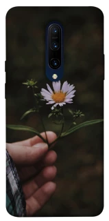 Чохол на OnePlus 7 Pro Ромашка v4 фото 1 з 1