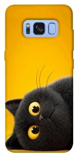 Чохол на Samsung G950 Galaxy S8 This is Cat фото 1 з 1