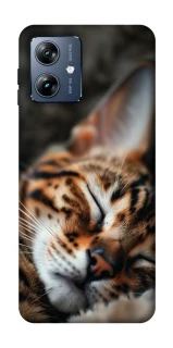 Чехол на Motorola Moto G54 Power Cat paws фото 1 из 1