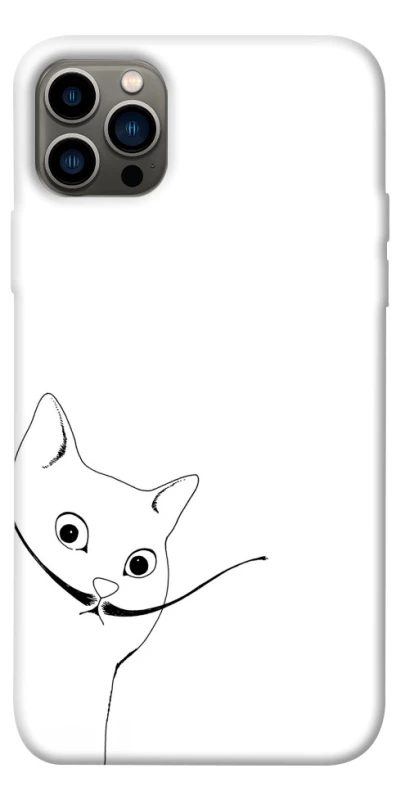 Чехол на Apple iPhone 12 Pro (6.1") Кот Дали фото 1 из 1