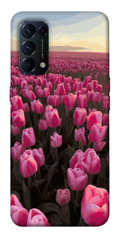 Чехол на Oppo Reno 5 4G Spring Awakening фото 1 из 1