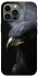 Чехол на Apple iPhone 13 Pro Max (6.7") black eagle фото 1 из 1