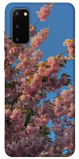 Чехол на Samsung Galaxy S20 Flowers v4 фото 1 из 1
