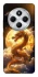 Чехол на Xiaomi Redmi 14C / Poco C75 Golden Dragon фото 1 из 1