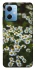 Чехол на Xiaomi Redmi Note 12 5G Ромашки v13 фото 1 из 1