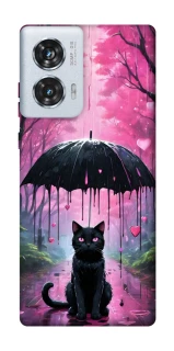 Чохол на Motorola Edge 50 Fusion Black cat фото 1 з 1