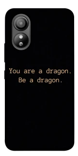 Чехол на ZTE Blade L220 House of the Dragon ver.9 фото 1 из 1