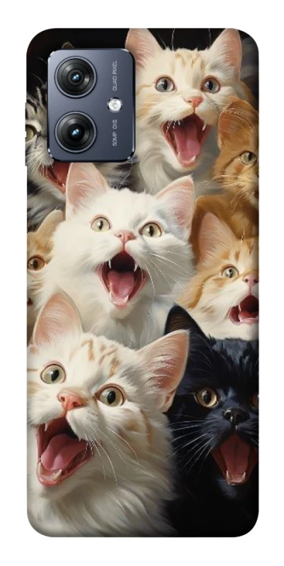 Чохол на Motorola Moto G54 Коти фото 1 Чохол на Motorola Moto G54 Коти фото 1 з 1