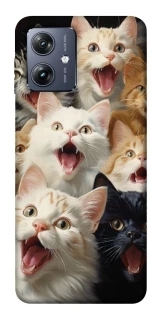 Чохол на Motorola Moto G54 Коти фото 1 Чохол на Motorola Moto G54 Коти фото 1 з 1