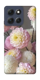 Чохол на Motorola Moto G86 Flowers v2 фото 1 з 1