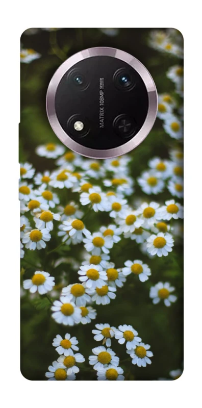 Чехол на Honor X9c Ромашки v13 фото 1 из 1