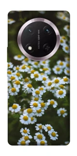 Чехол на Honor X9c Ромашки v13 фото 1 из 1