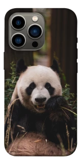 Чехол на Apple iPhone 13 Pro (6.1") Панда фото 1 из 1