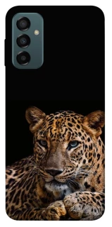 Чохол на Samsung Galaxy M13 4G Leopard v4 фото 1 з 1
