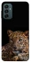 Чохол на Samsung Galaxy M23 5G Leopard v4 фото 1 з 1