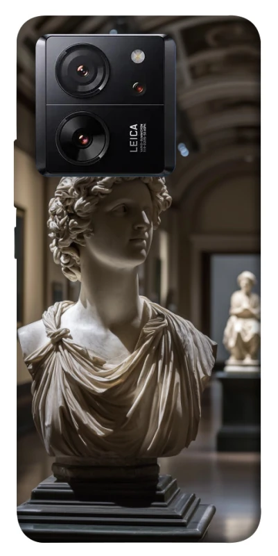 Чехол на Xiaomi 13T Pro statue фото 1 из 1