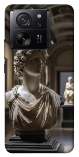 Чехол на Xiaomi 13T Pro statue фото 1 из 1
