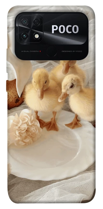 Чехол на Xiaomi Poco C40 Easter Vibes фото 1 из 1