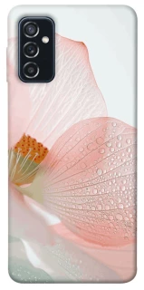 Чехол на Samsung Galaxy M52 Flowers zon фото 1 из 1