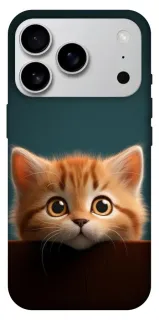 Чехол на Apple iPhone 18 Pro Max Чехол Котёнок фото 1 из 1
