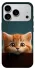 Чехол на Apple iPhone 18 Pro Max Чехол Котёнок фото 1 из 1