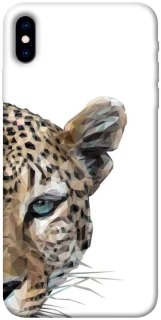 Чехол на Apple iPhone X (5.8") Leopard Art v2 фото 1 из 1