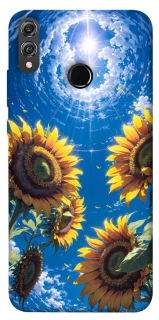 Чохол на Huawei Honor 8X Sunflowers фото 1 з 1