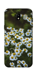 Чехол на Samsung Galaxy J5 (2017) Ромашки v13 фото 1 из 1