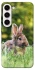 Чехол на Samsung Galaxy S23+ Кролики фото 1 из 1