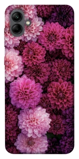 Чехол на Samsung Galaxy A04 Garden1 фото 1 из 1