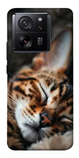 Чохол на Xiaomi 13T Cat paws фото 1 з 1