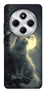 Чехол на Xiaomi Redmi 14C / Poco C75 Кот под луной фото 1 из 1
