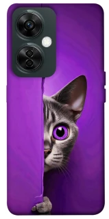 Чехол на OnePlus Nord CE 3 Lite Кот-подглядыватель фото 1 из 1