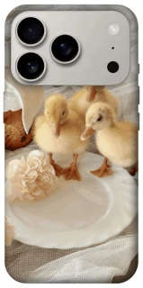 Чохол на Apple iPhone 17 Pro (6.3") Easter Vibes фото 1 з 1