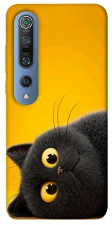 Чохол на Xiaomi Mi 10 / Mi 10 Pro This is Cat фото 1 з 1
