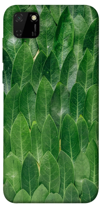 Чохол на Huawei Y5p Листя фото 1 з 1