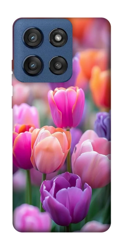 Чохол на Motorola Edge 60 Stylus Тюльпанове поле фото 1 з 1