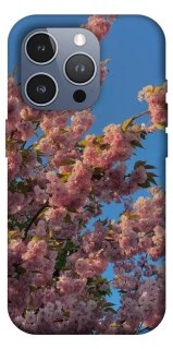 Чохол на Apple iPhone 16 Pro Max Flowers v4 фото 1 з 1