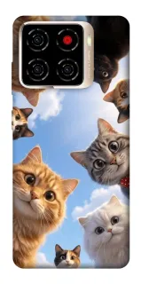 Чехол на ZTE Blade A56 Cats фото 1 из 1
