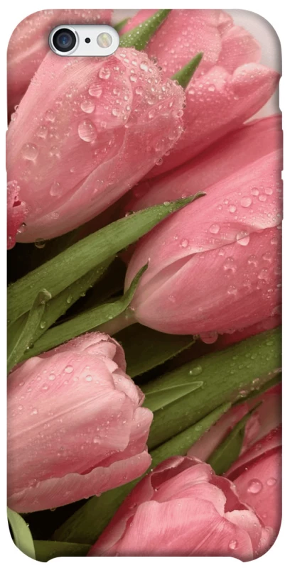 Чохол на Apple iPhone 6/6s (4.7") Beauty фото 1 з 1